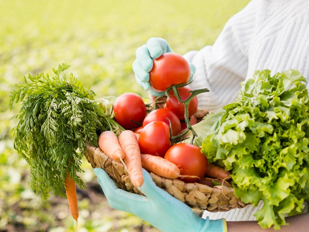 Embracing Organic Farming: A Sustainable Choice for People and the Planet